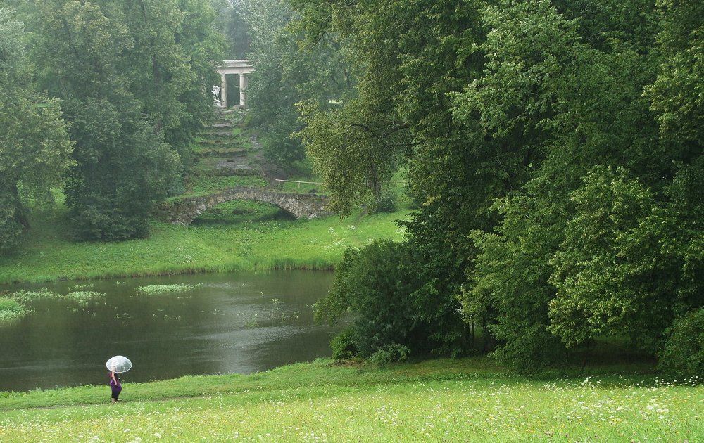 Дождливый день в парке