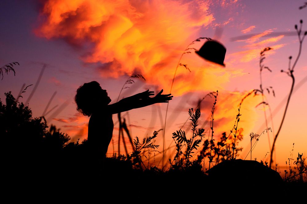 Живая шляпа