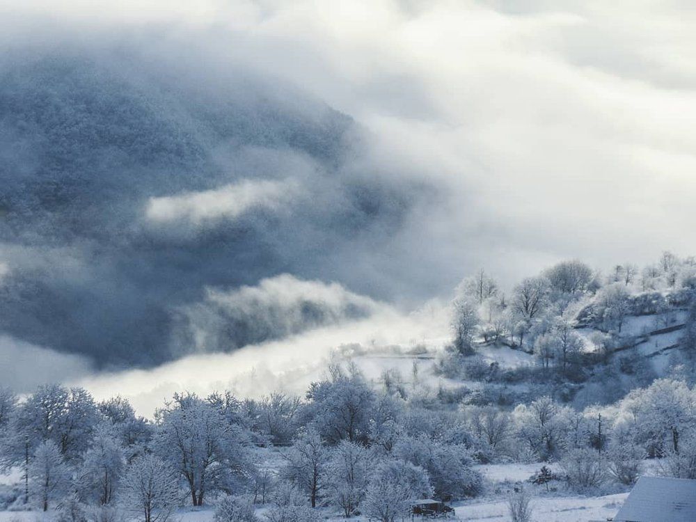 Fog Landscape