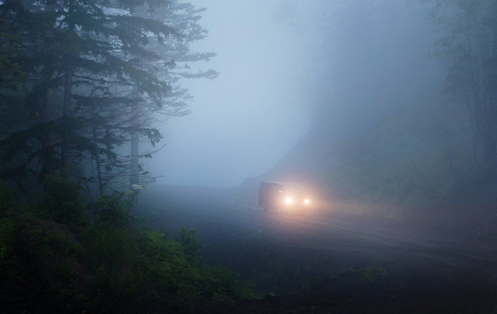 Заволокло...