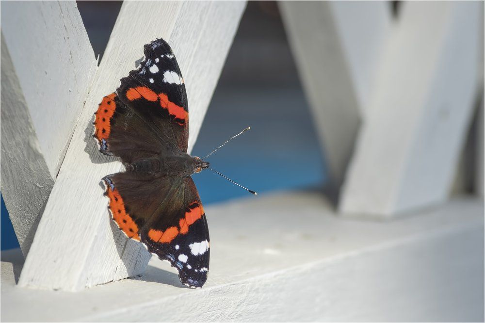 Photograph by Вадим