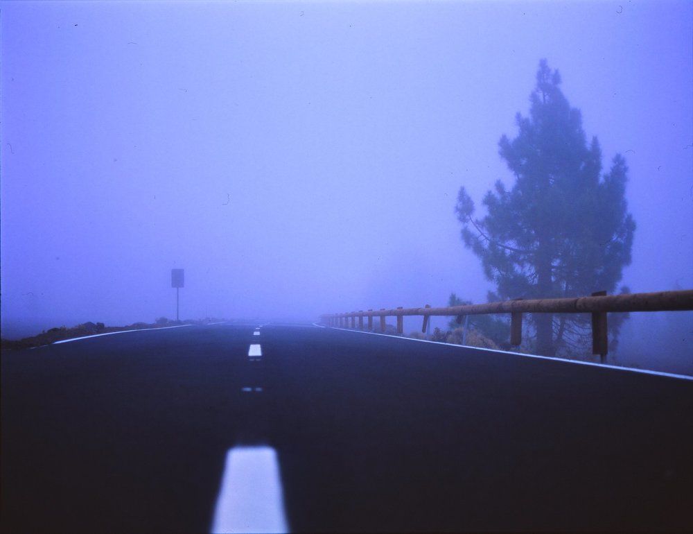 Photo #2461451