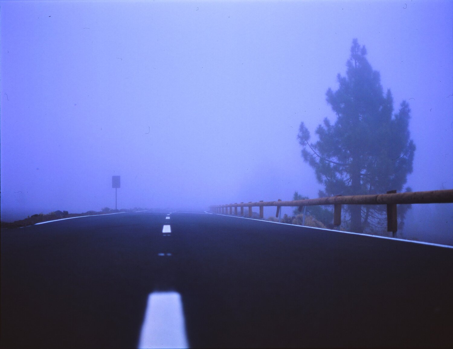Photo #2461451