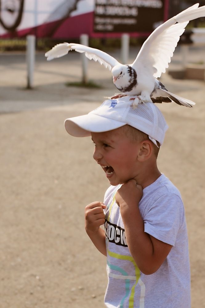 Крылатая шапка