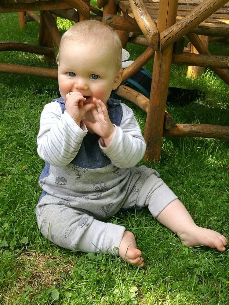 Томик в саду