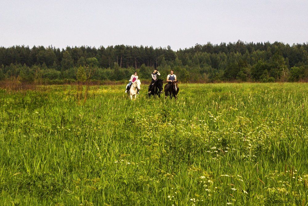 Photograph by Алексей Герасимов