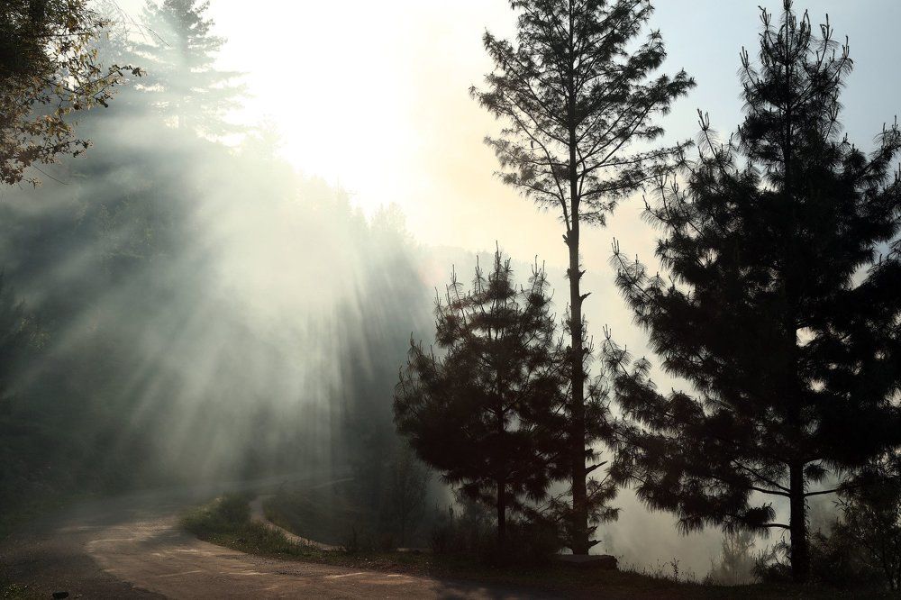 Eternal Sunshine of Spotless Universe