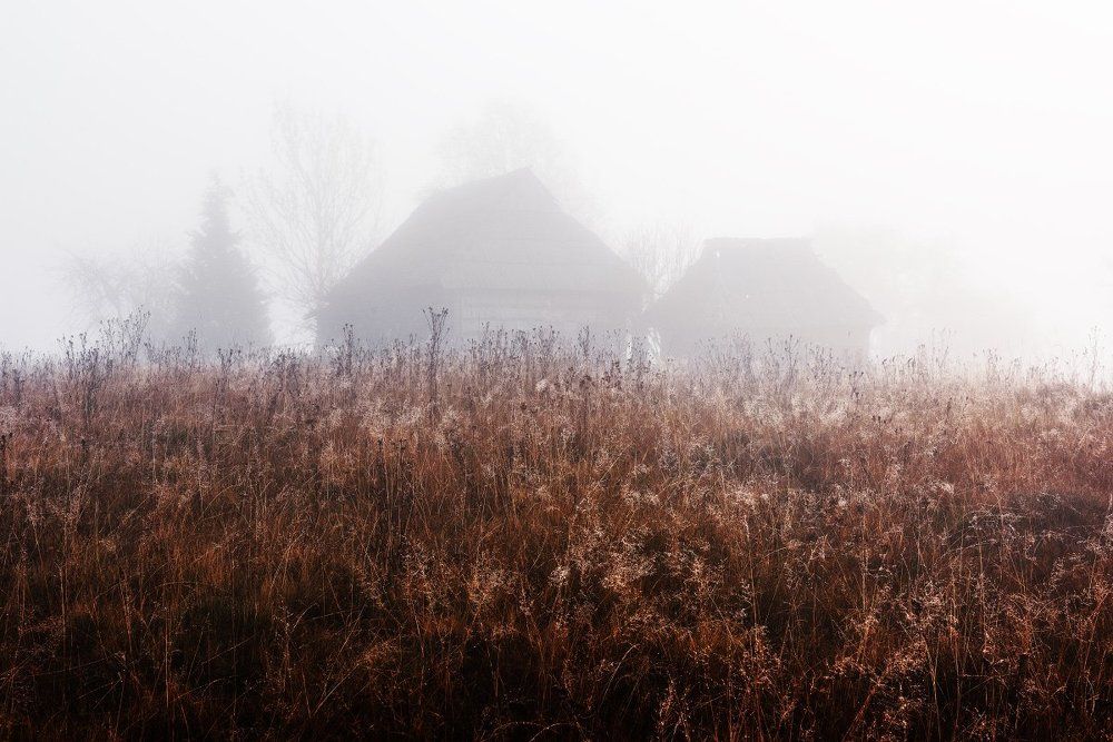 Утро в Лазещине II