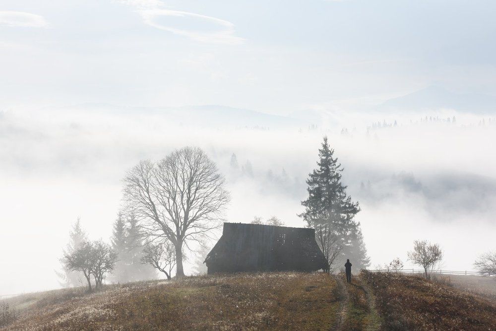 Утро в Лазещине III