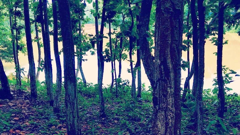 Nature