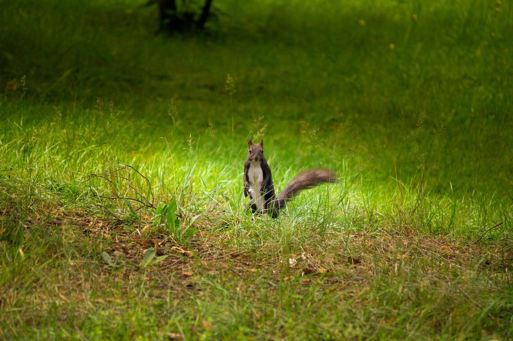 Photograph by Valentin Stefan