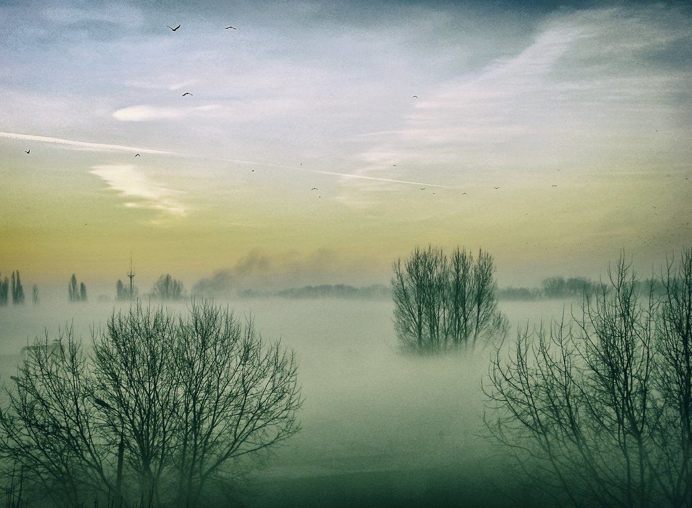 Февральский туман