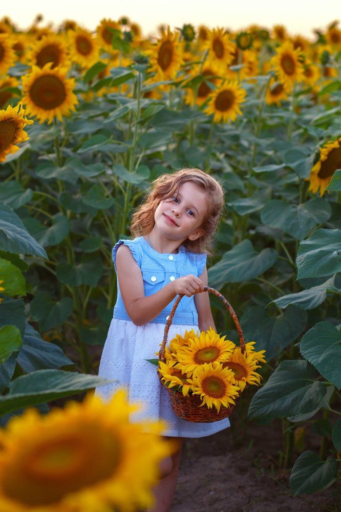 Ксюша и подсолнухи