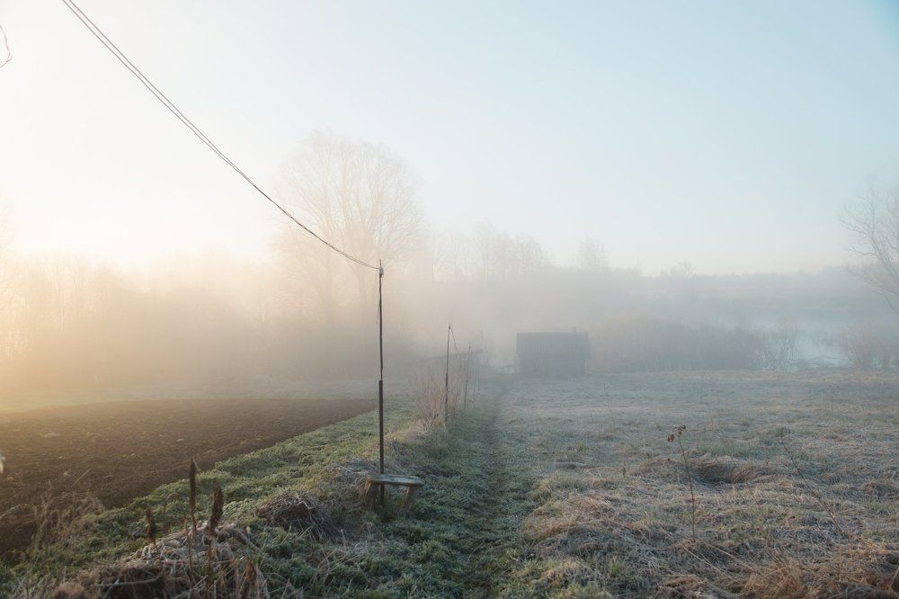 Утро в деревне