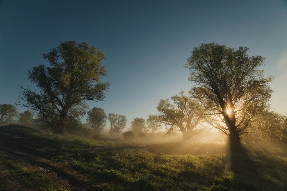 Край туманов