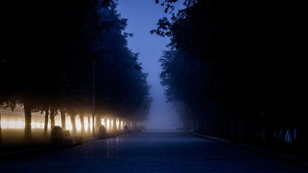 Photograph by Степанюк Данил