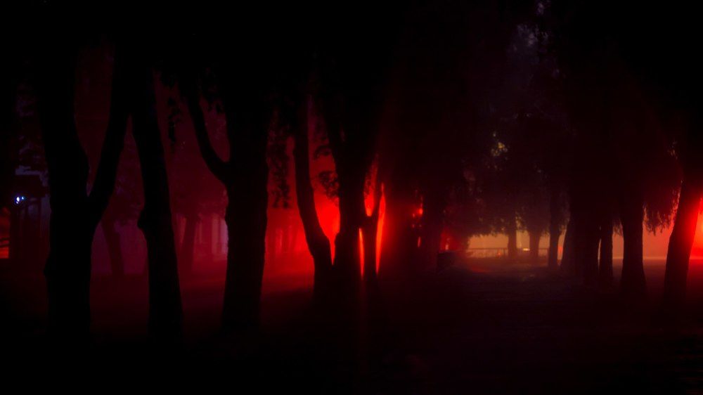 Photograph by Степанюк Данил