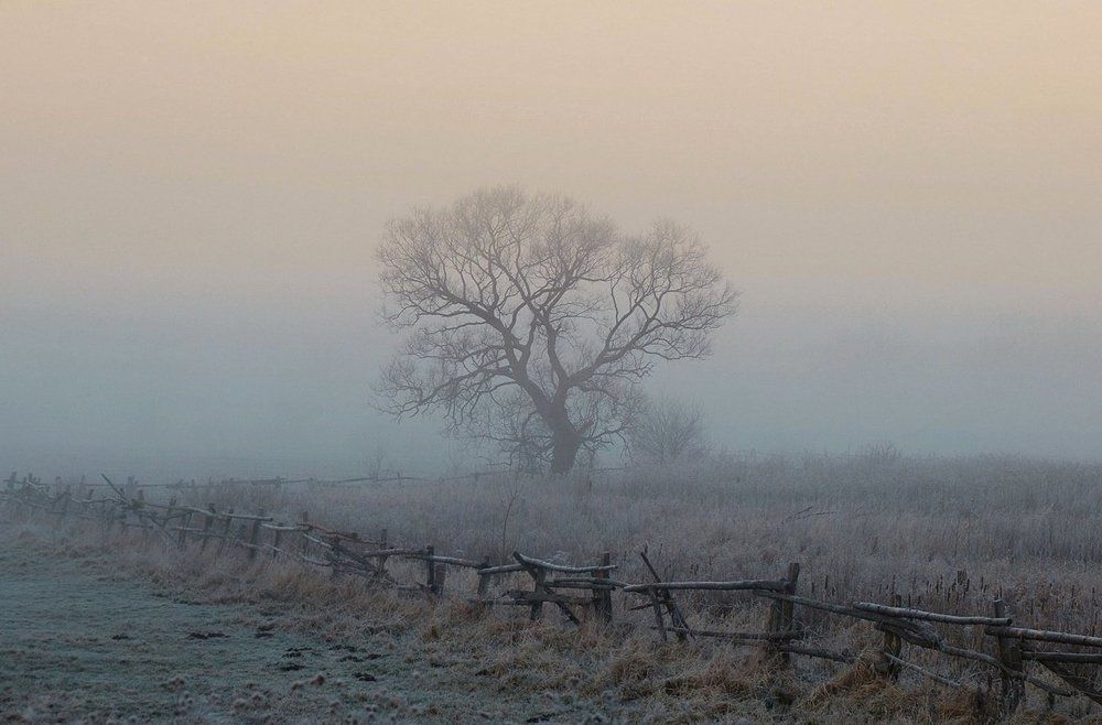 Утренние заморозки