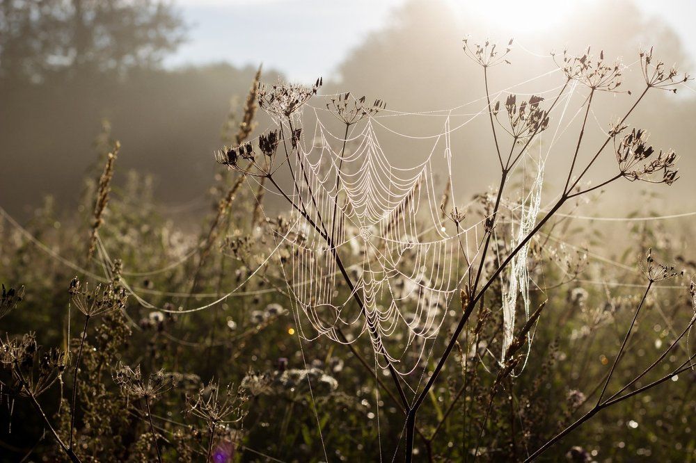 Photograph by Екатерина Мартынова