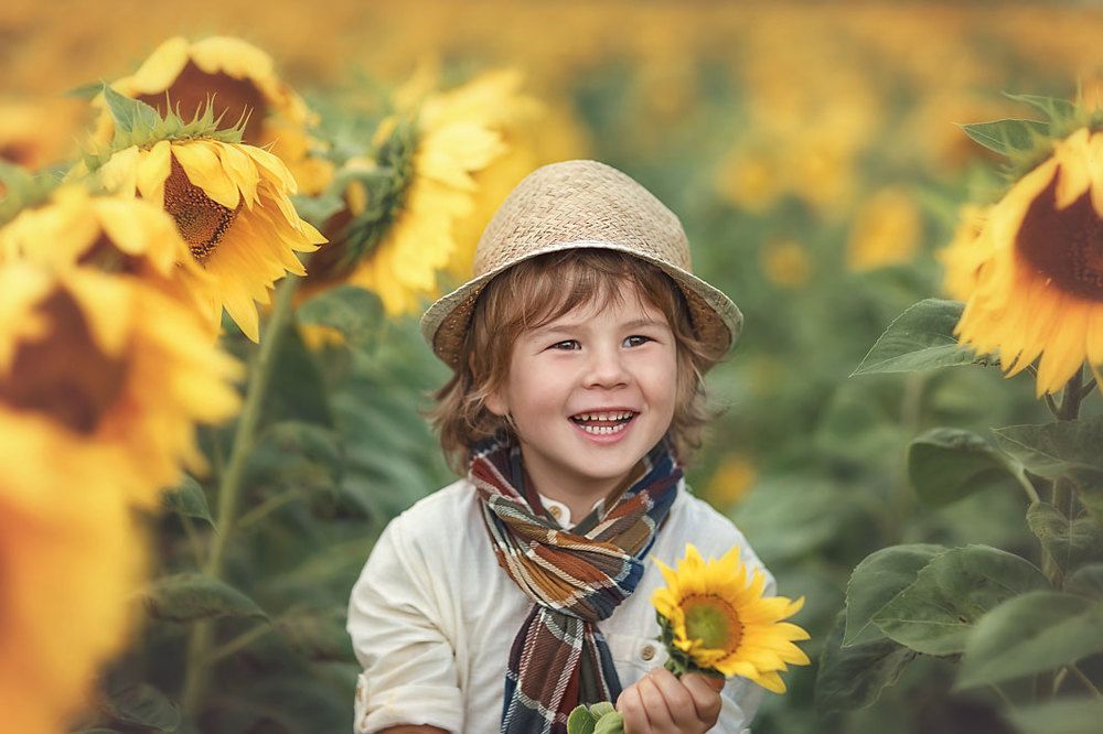 Солнечное море