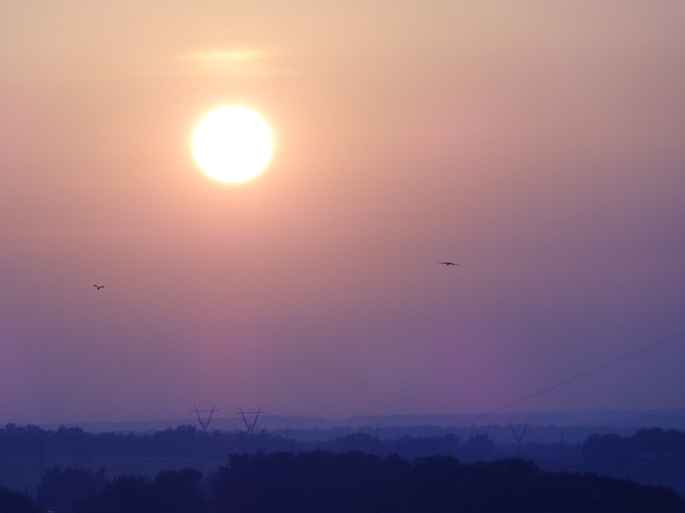 Photograph by Стефанова Татьяна