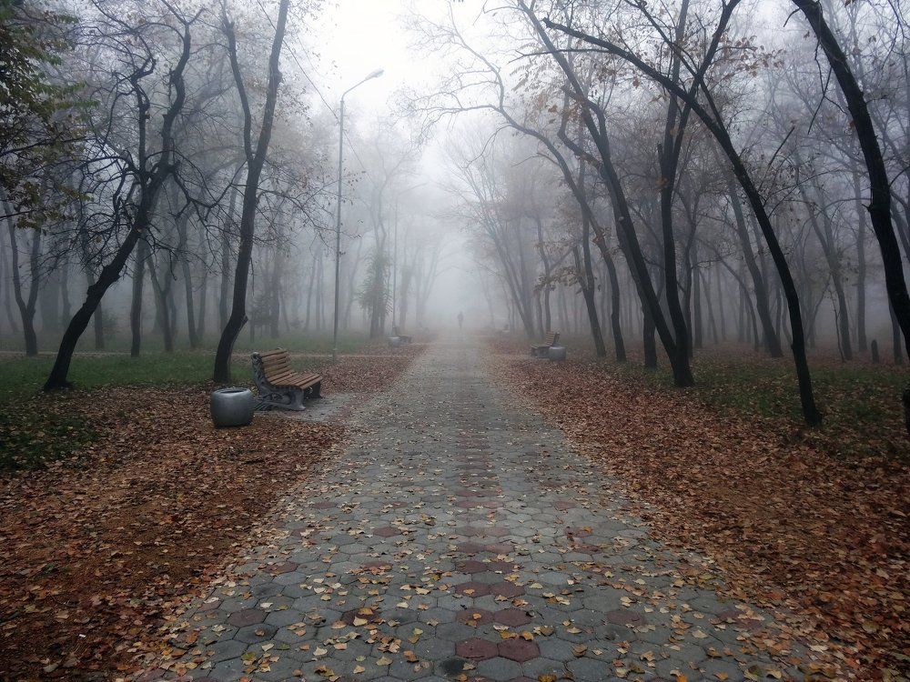 Уходящий в туман.