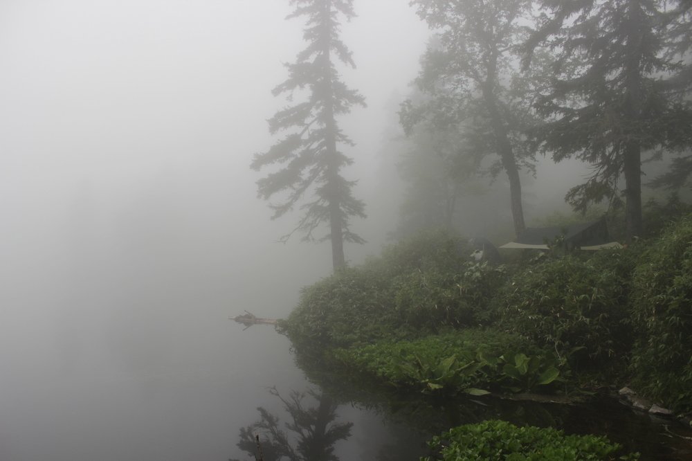 Туман на озере.