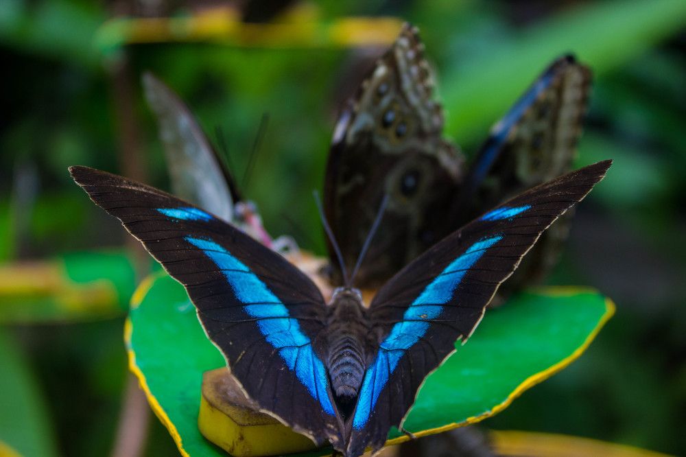 colorful of life