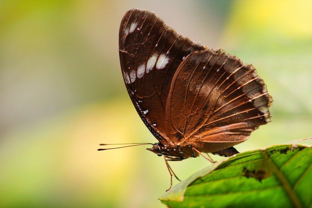 Beauty of Nature