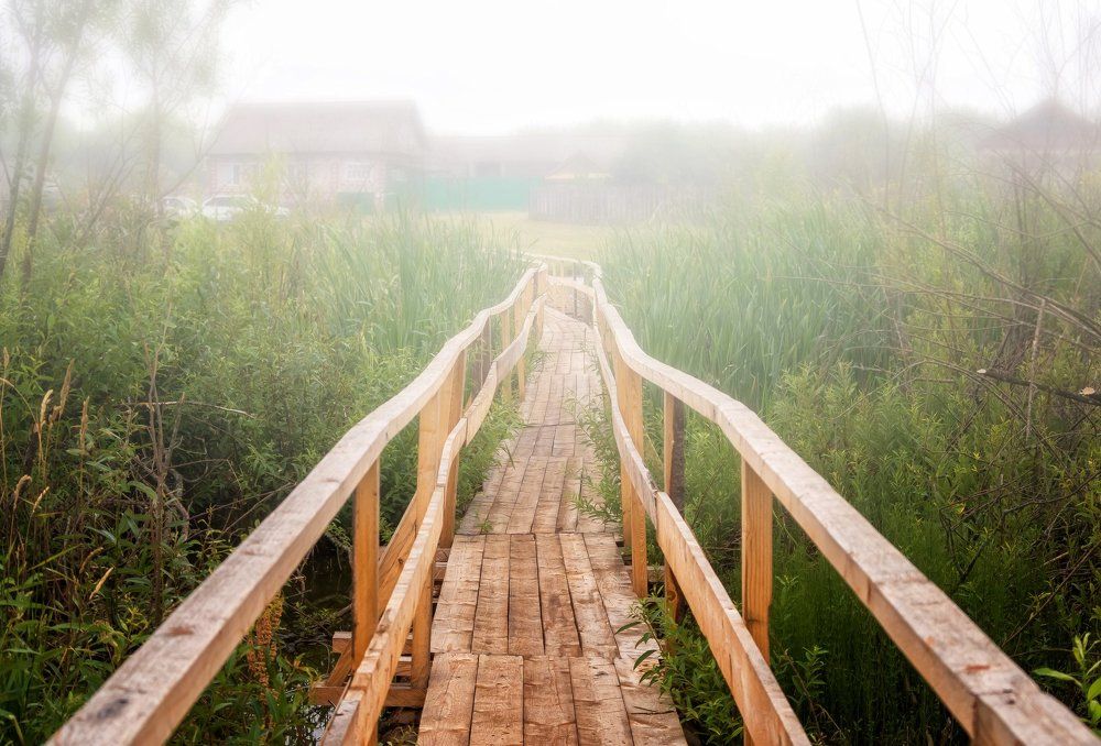 Куда ведёшь мосточек маленький