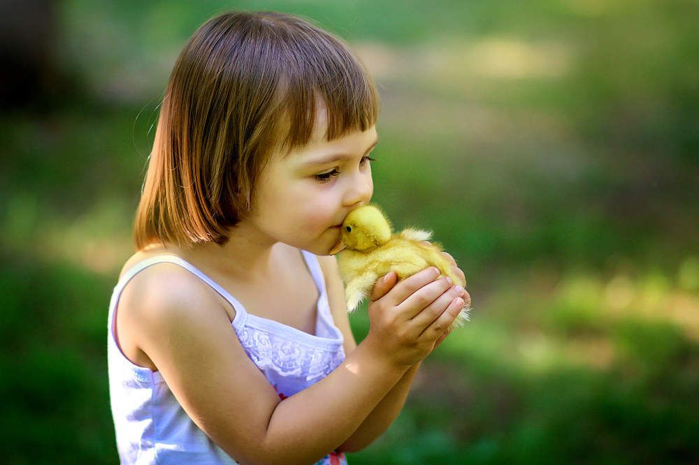 Доброе утро, мир!