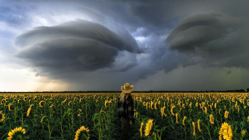 Навстречу буре