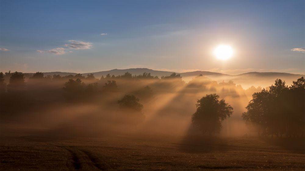 Туманное утро