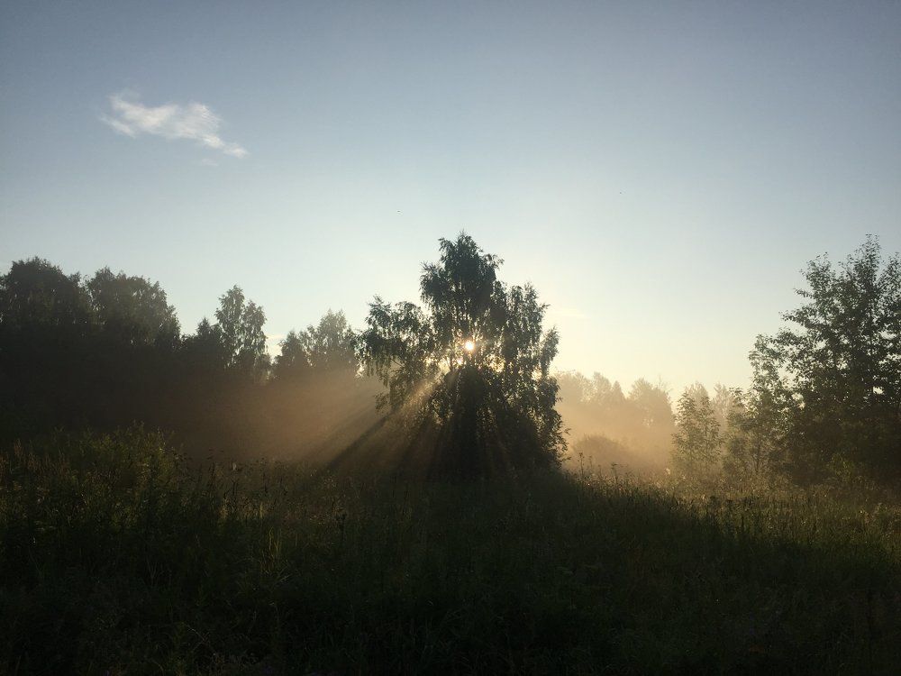 Photograph by Лариса Шевченко