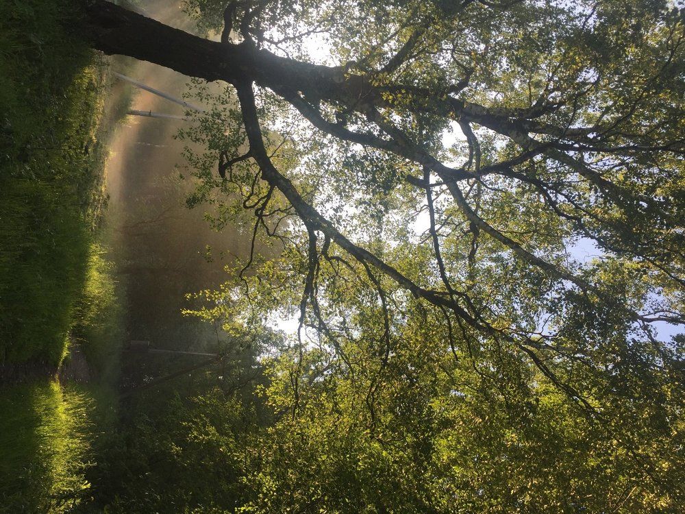 Photograph by Лариса Шевченко