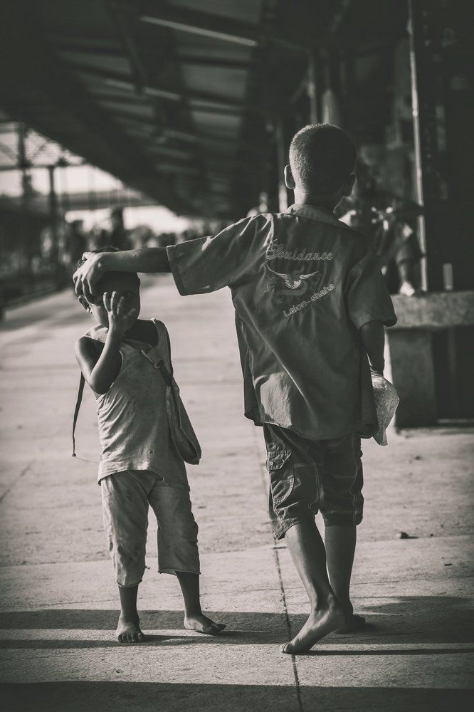 The Brother