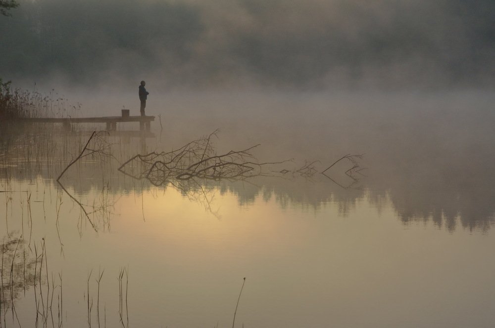 ... наедине с тишиной ...
