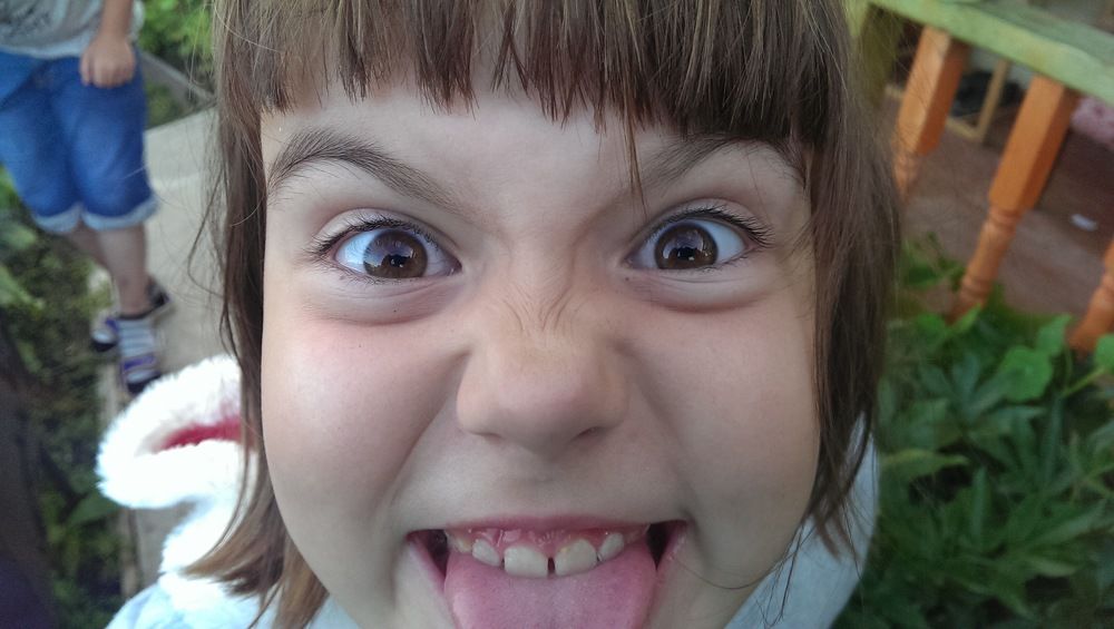 Photo #2463191