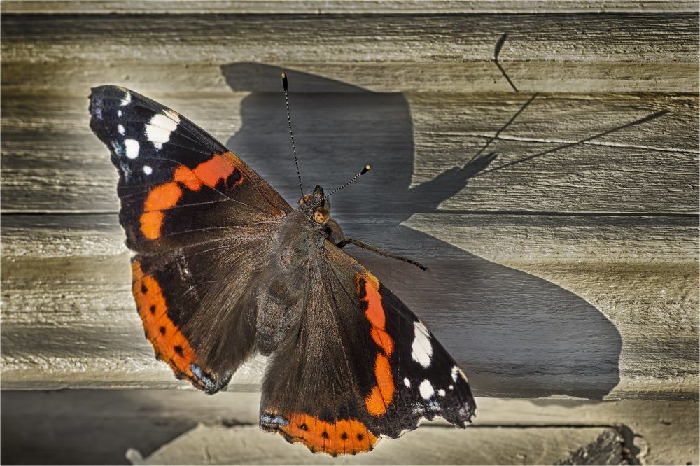 Photograph by Вадим