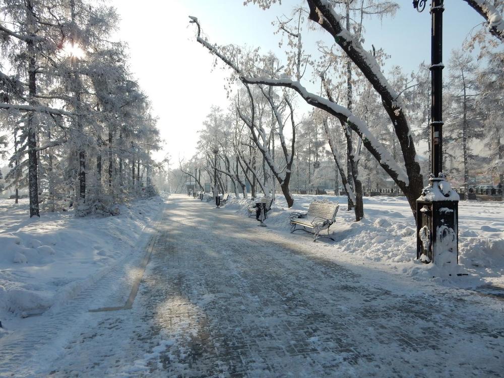 зимняя аллея