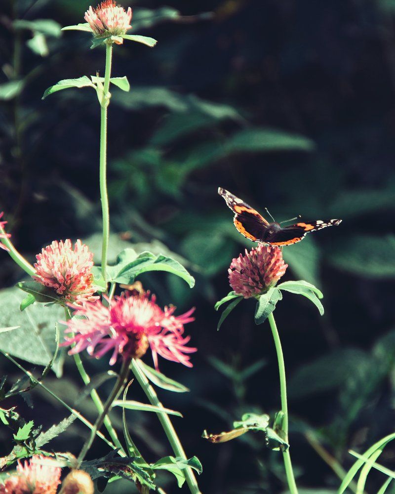 Photograph by Prokhorov Nikita