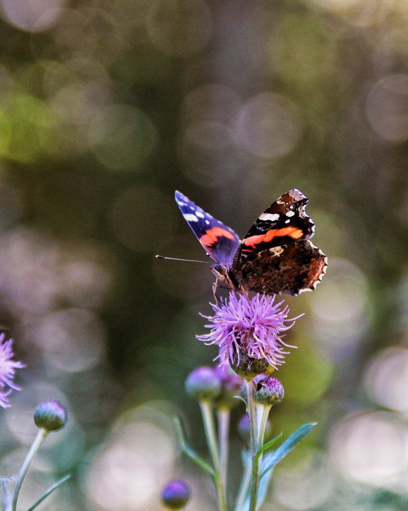 Photograph by Prokhorov Nikita