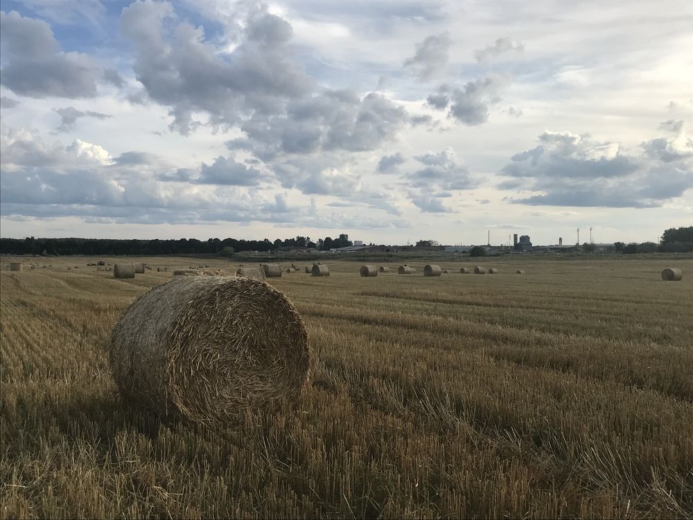 Удивительные моменты Подмосковья.