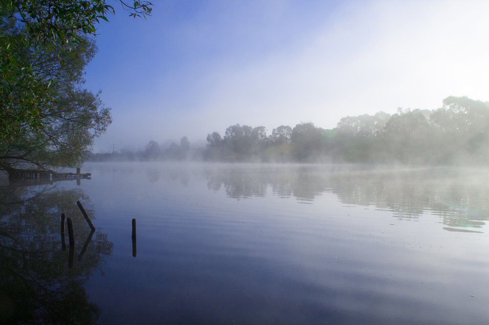Туман на реке