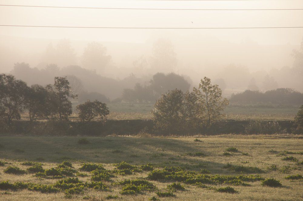 Photograph by Наталья Манусова