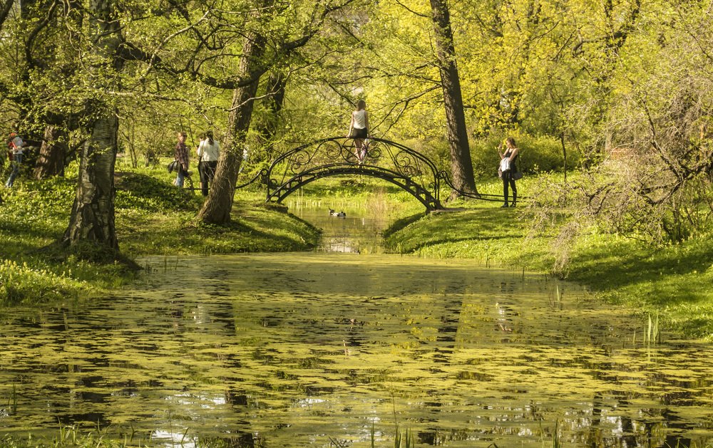Весенние настроения