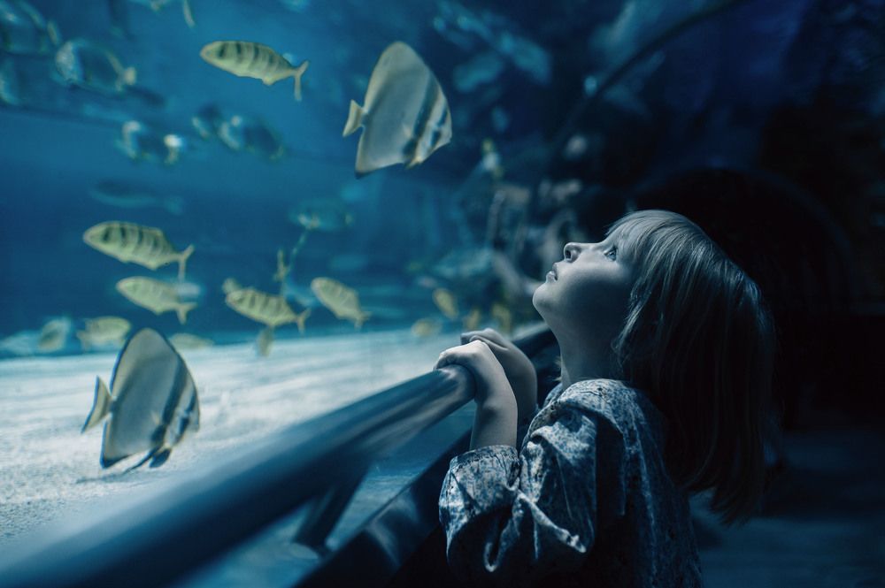 Море воспоминаний