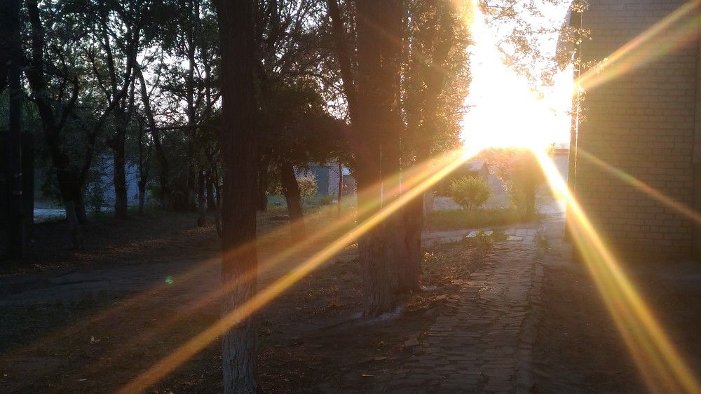Луч солнца золотой...