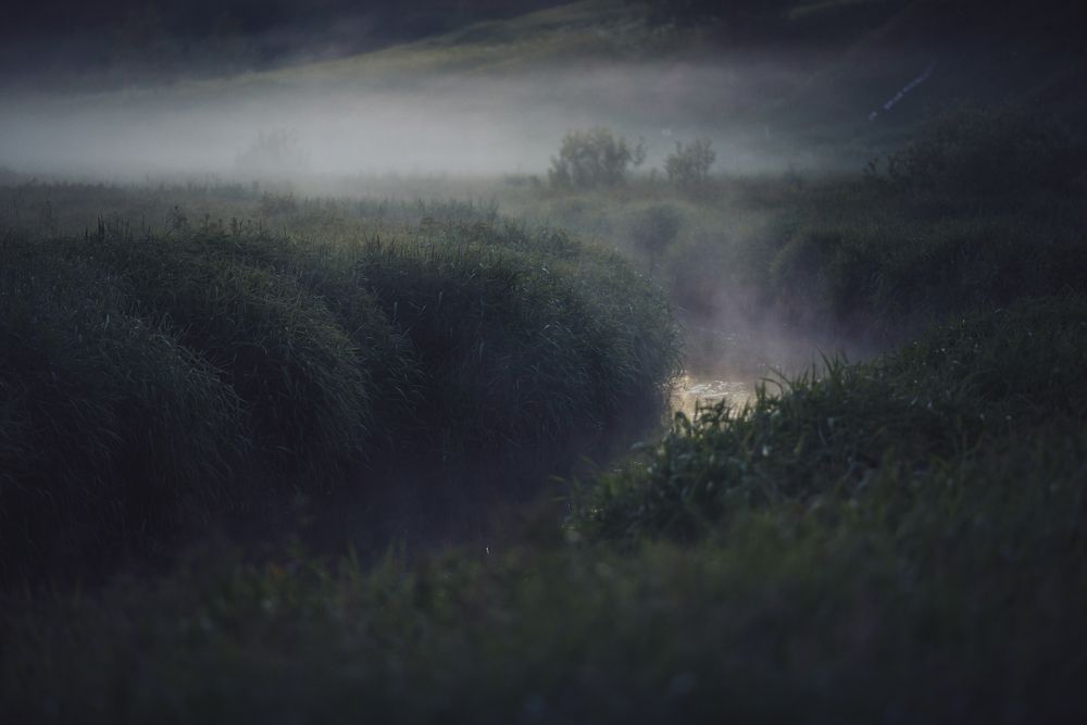 Photograph by Инна Фокина