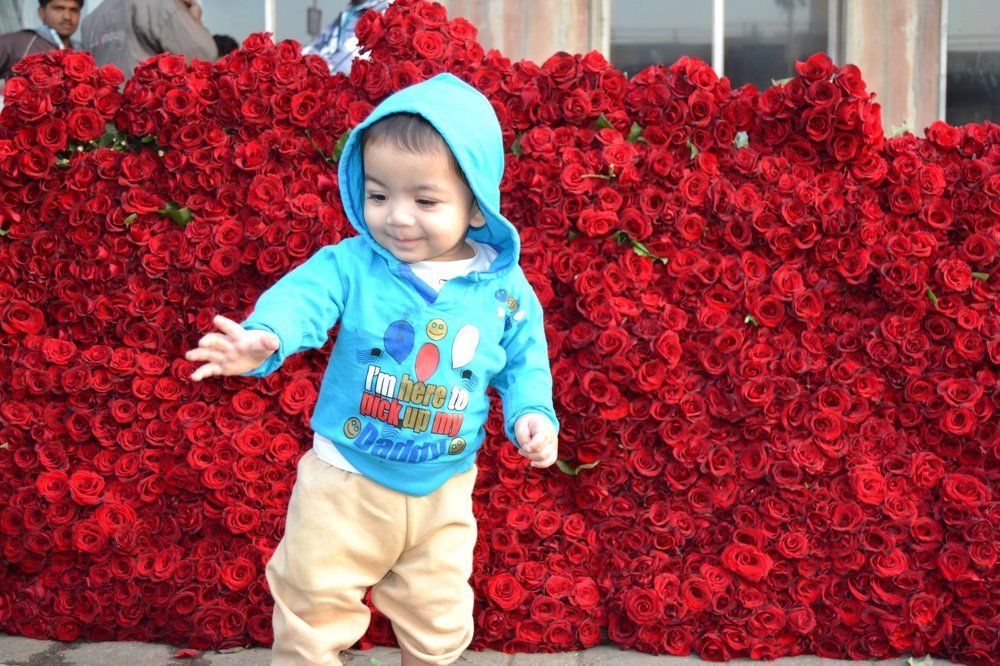 Children's portrait -A Rose Wall